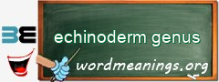 WordMeaning blackboard for echinoderm genus